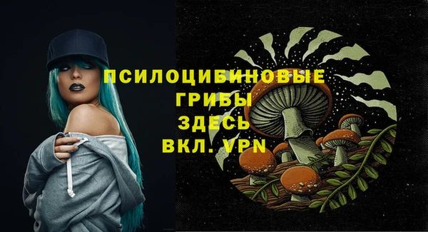 МДПВ Корсаков