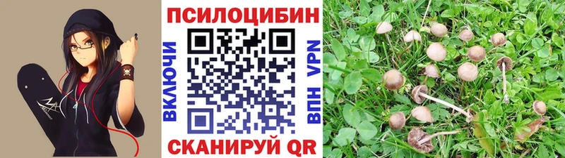 Купить где  Горнозаводск  Псилоцибиновые грибы Magic Shrooms 