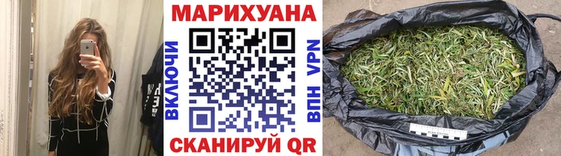 Купить где  Горнозаводск  Конопля сатива 